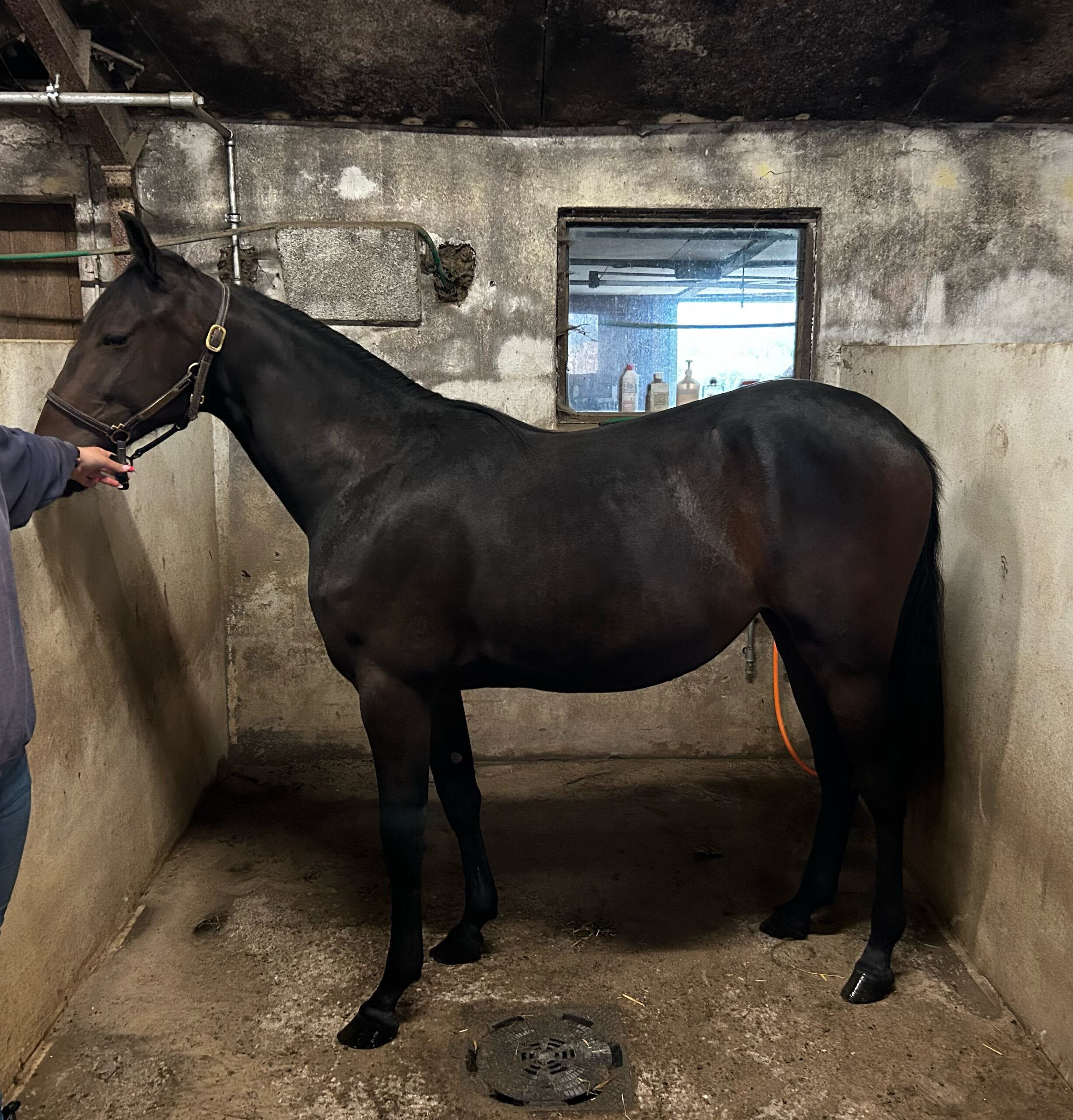 Bud modtages image1-scaled-1