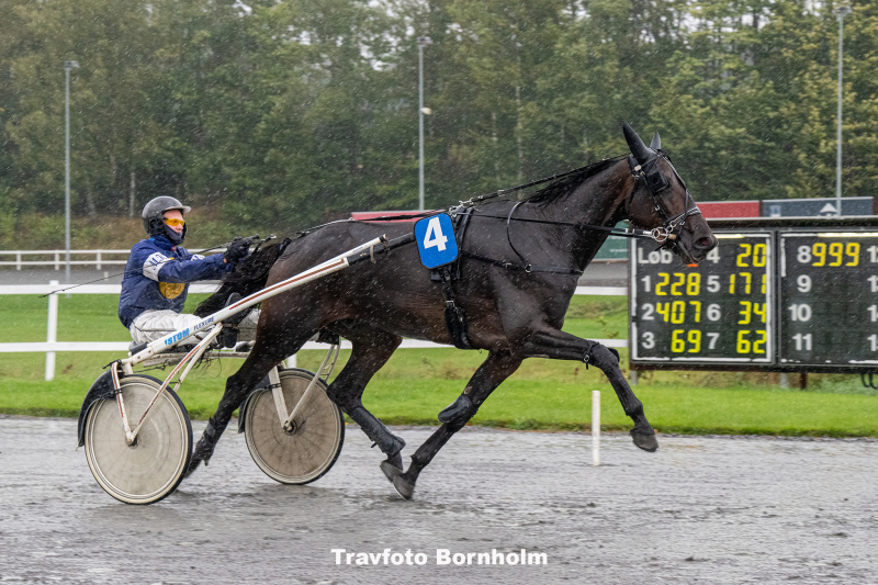 inter Flamingo med Mads K Mogensen 4 oktober 2025 Fotograf Torben Ager Travfoto Bornholm TKA 2585