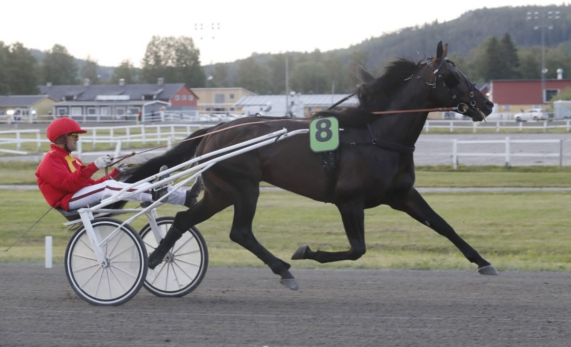 Auktion - Jeppe og Rolf købte invisiblesun