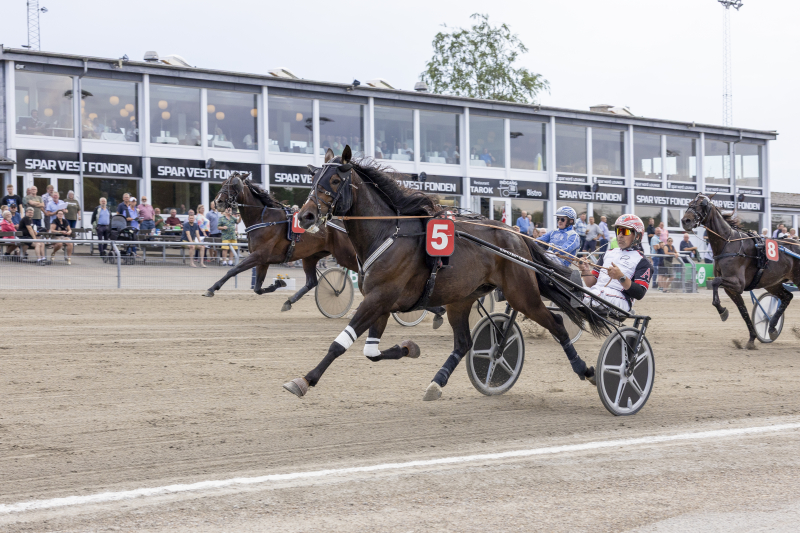 Mikael Poulsen og Tina imponerer igen i år kangaroo