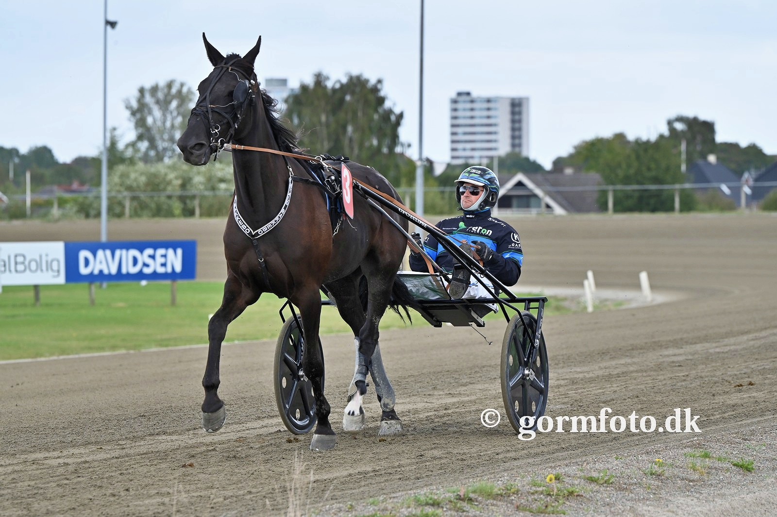 Venteliste på løbsheste kiss me godnight