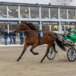 Jan Friis - Sønnike udlært og sejr kohinoor