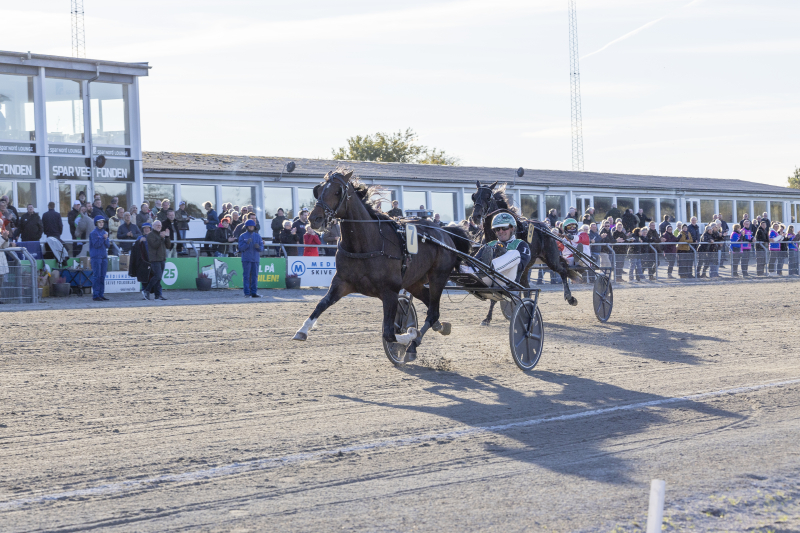 Kort nyt fra ind- og udland kungfufightning_2