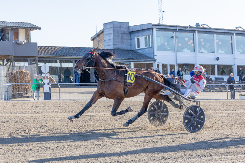 Labour Spring – Fra auktionens oversete talent til nomineret stjerneskud labour_spring-1
