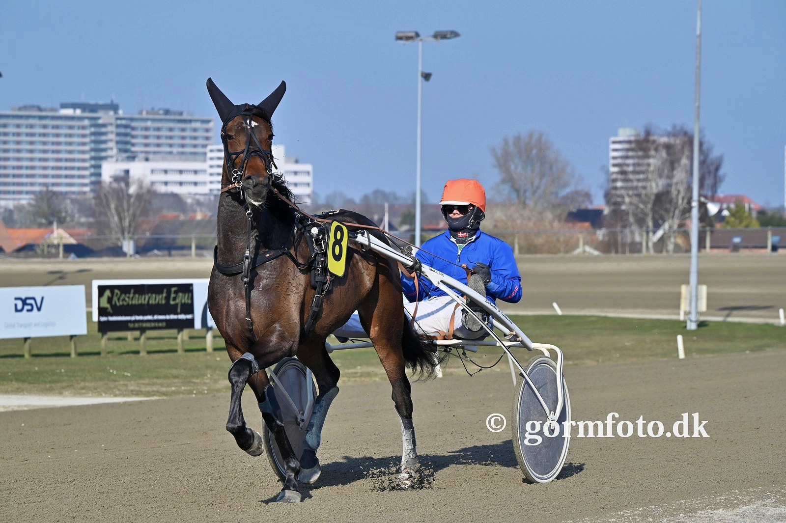 Luna Vang – Korfitsens kort luna