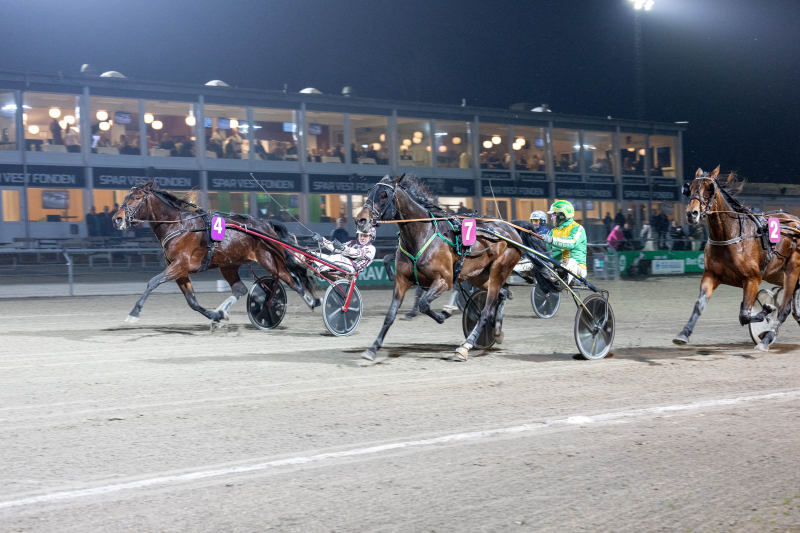 Lucas Kirk champ i Skive luxux