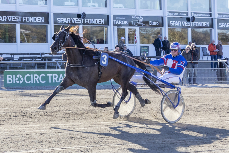 milk and alcohole 2 2