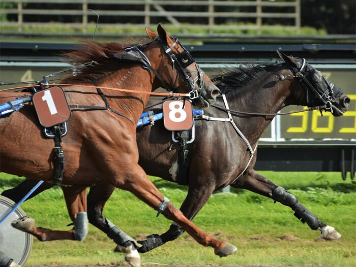 Kan miste licens - 10 procent mangler endnu oploeb-1-e1606948546741
