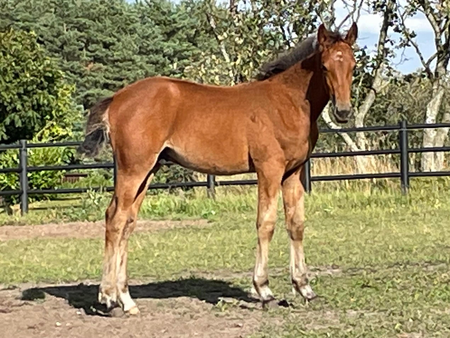 redright hand 1500x1125 1