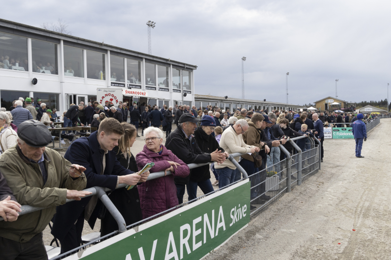 Nye startlister – Skive med ni løb skive_trav_30