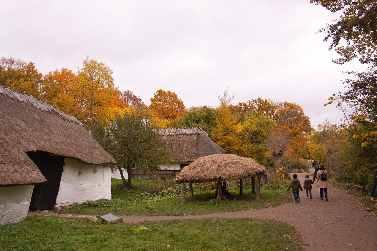 Dyrevelfærd stopper ponyridning: Ikonisk tradition forsvinder the-open-air-museum-2702024_1280