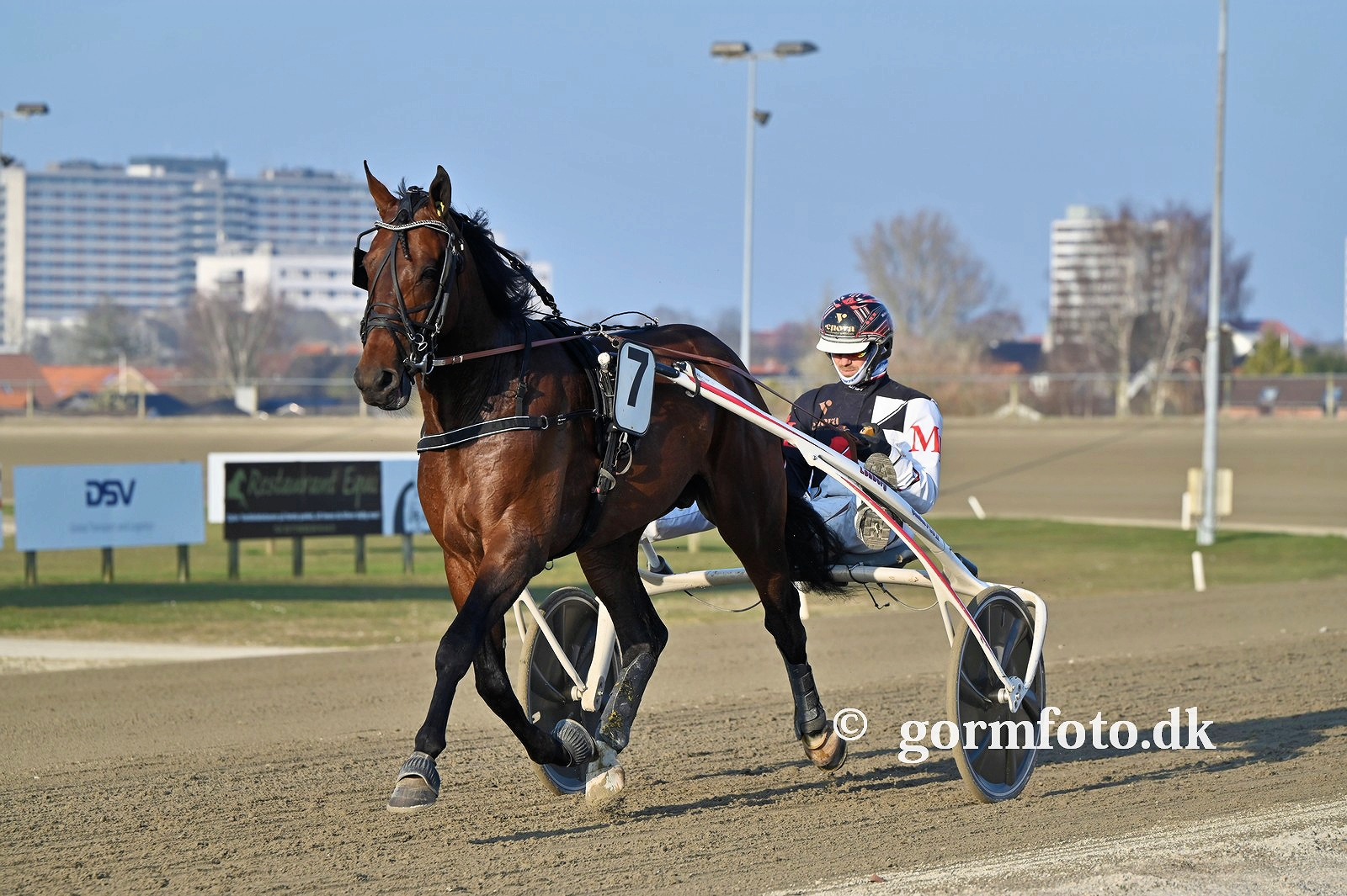 Bekræftet: Thinker Monkey skifter træner thinker