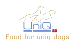 Uniq Food For Dogs